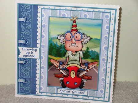 GUS GROWING UP 7.5 Humorous Decoupage & Insert Mini Kit by Wayne Swan