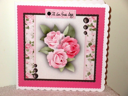 Beautiful Abigale Roses by Wayne Swan