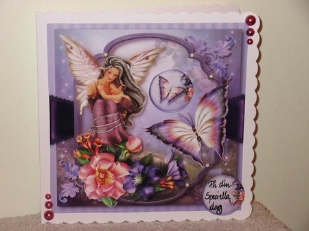 Fairy Wishes by Wayne Swan