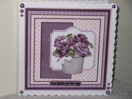 pot of purple flowers by Wayne Swan