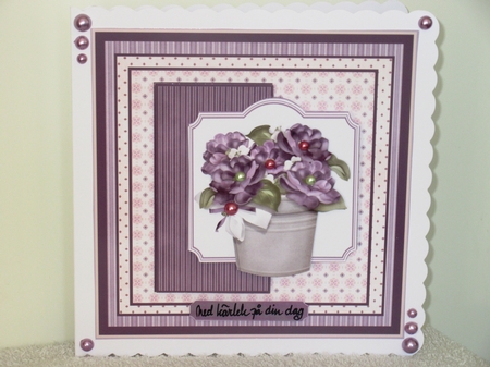 pot of purple flowers by Wayne Swan