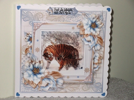 The Christmas Tigers by Wayne Swan