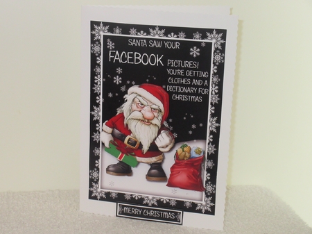 Santa Saw Your Facebook Pictures by Wayne Swan