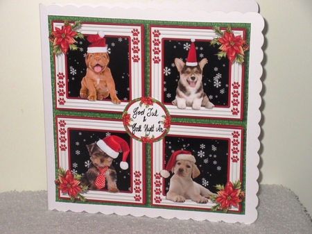 Have a Wuffly Christmas by Wayne Swan