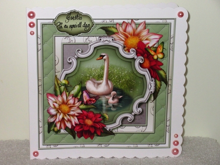 Swan Lake 8x8 Mini Kit by Wayne Swan