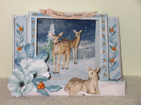 Winterland #1 Framed Centre Stepper Card & Envelope Mini Kit by Wayne Swan