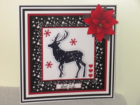 STARRY FOREST ANIMALS & POINSETTIA Christmas 7.5 Quick Cards Bumper Kit by Wayne Swan