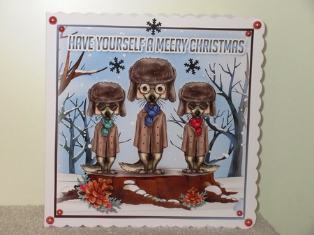 Tis the Season to be Meery! by Wayne Swan