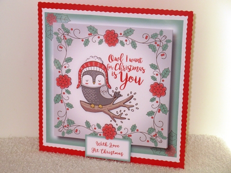 Pretty Christmas Animals & Birds Bumper Kit by Wayne Swan