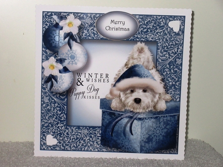 Chesterton The Westie - Puppy Dog Kisses by Wayne Swan