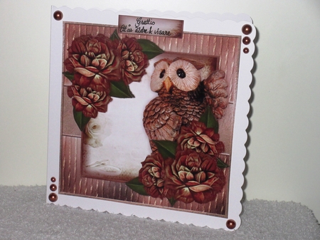 Male Card Wise Owl Mini Kit by Wayne Swan
