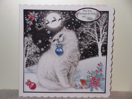 May Your Christmas be Fluffy & White! by Wayne Swan