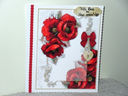 Poppy Love by Wayne Swan