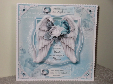 The Angels Call by Wayne Swan