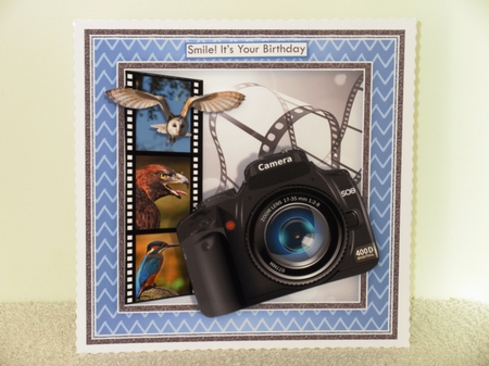 CAMERA SNAPSHOTS BIRD WATCHING 7.5 Decoupage & Insert Mini Kit by Wayne Swan