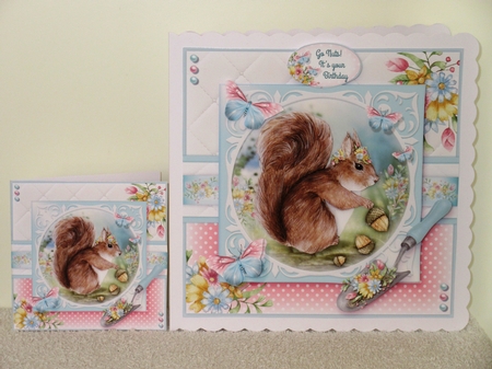  Bottom of the Garden - Squirrel  by Wayne Swan