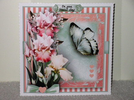 The Iris Flutter  by Wayne Swan