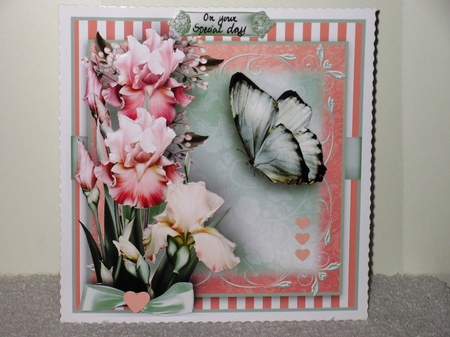 The Iris Flutter  by Wayne Swan