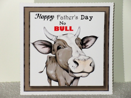 Happy Fathers Day No BULL by Wayne Swan