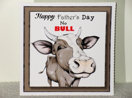 Happy Fathers Day No BULL by Wayne Swan