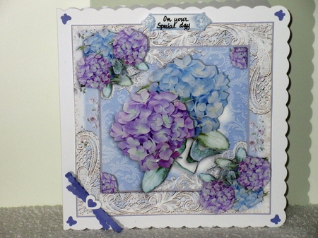 Beautiful Hydrangea blooms by Wayne Swan