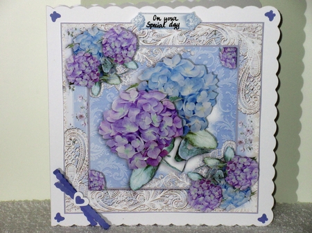 Beautiful Hydrangea blooms by Wayne Swan