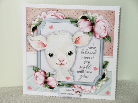 I never believed in love ...... Lamb 8x8 Mini Kit by Wayne Swan