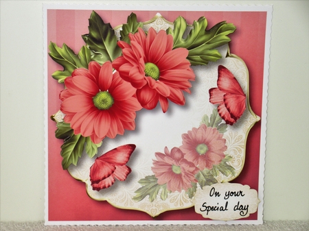 Chrysanthemum Corner - Perfectly Pink by Wayne Swan