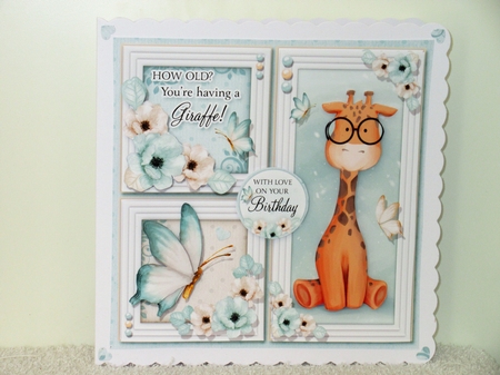 How Old? You`re Having a Giraffe!  by Wayne Swan