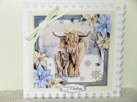 The Christmas Highland Cows by Wayne Swan