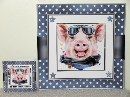 The Whole Hog Birthday Mini Kit by Wayne Swan