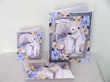 The Christmas Polar Bear by Wayne Swan