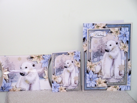The Christmas Polar Bear by Wayne Swan