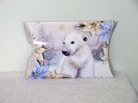 The Christmas Polar Bear by Wayne Swan