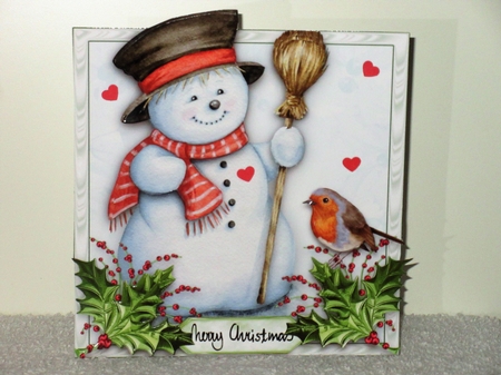 Happy Snowman & Robin 8 x 8 Over The Edge Card Kit With Insert and Assorted Greetings by Wayne Swan