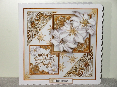 Poinsettia Merry And Bright by Wayne Swan