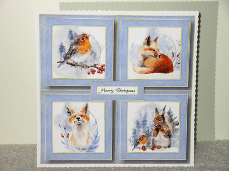 Once In The Forest Quad Frame by Wayne Swan