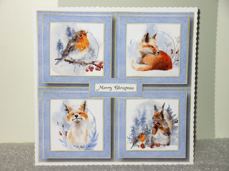 Once In The Forest Quad Frame by Wayne Swan