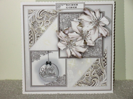 Silver And White Poinsettia by Wayne Swan