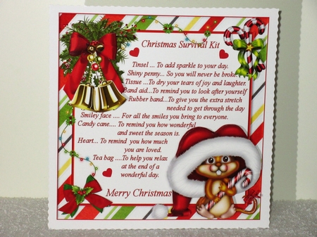8x8 Christmas survival kit mini kit by Wayne Swan