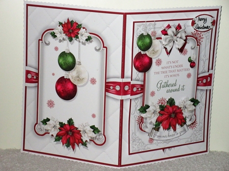 The Red Christmas Bauble by Wayne Swan