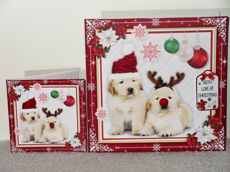 Have a Barking Mad Christmas by Wayne Swan