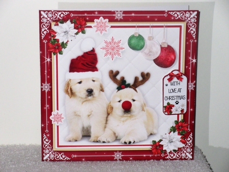 Have a Barking Mad Christmas by Wayne Swan