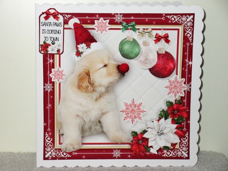 Rudolph the Red Nosed Retriever by Wayne Swan