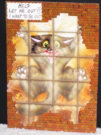 Splat the Cat Card Front by Wayne Swan