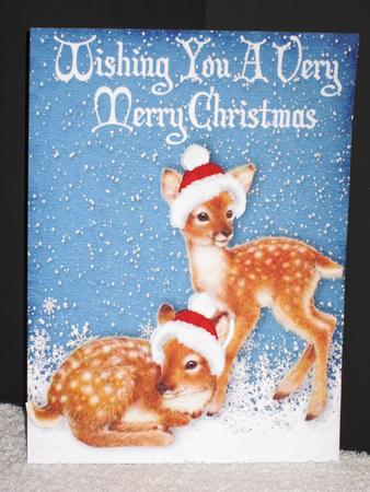Cute Little Deers in the Snow in Santa Hats by Wayne Swan
