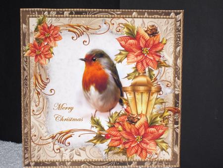Robin's Christmas by Wayne Swan