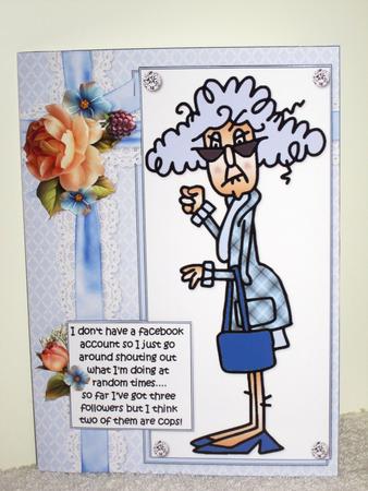 Stella Doesn't Have a Facebook Account Quick Card by Wayne Swan