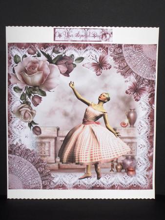 Beautiful Pink Gingham Ballet Topper by Wayne Swan