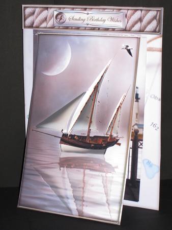 3 in 1 Sail Away with Me by Wayne Swan